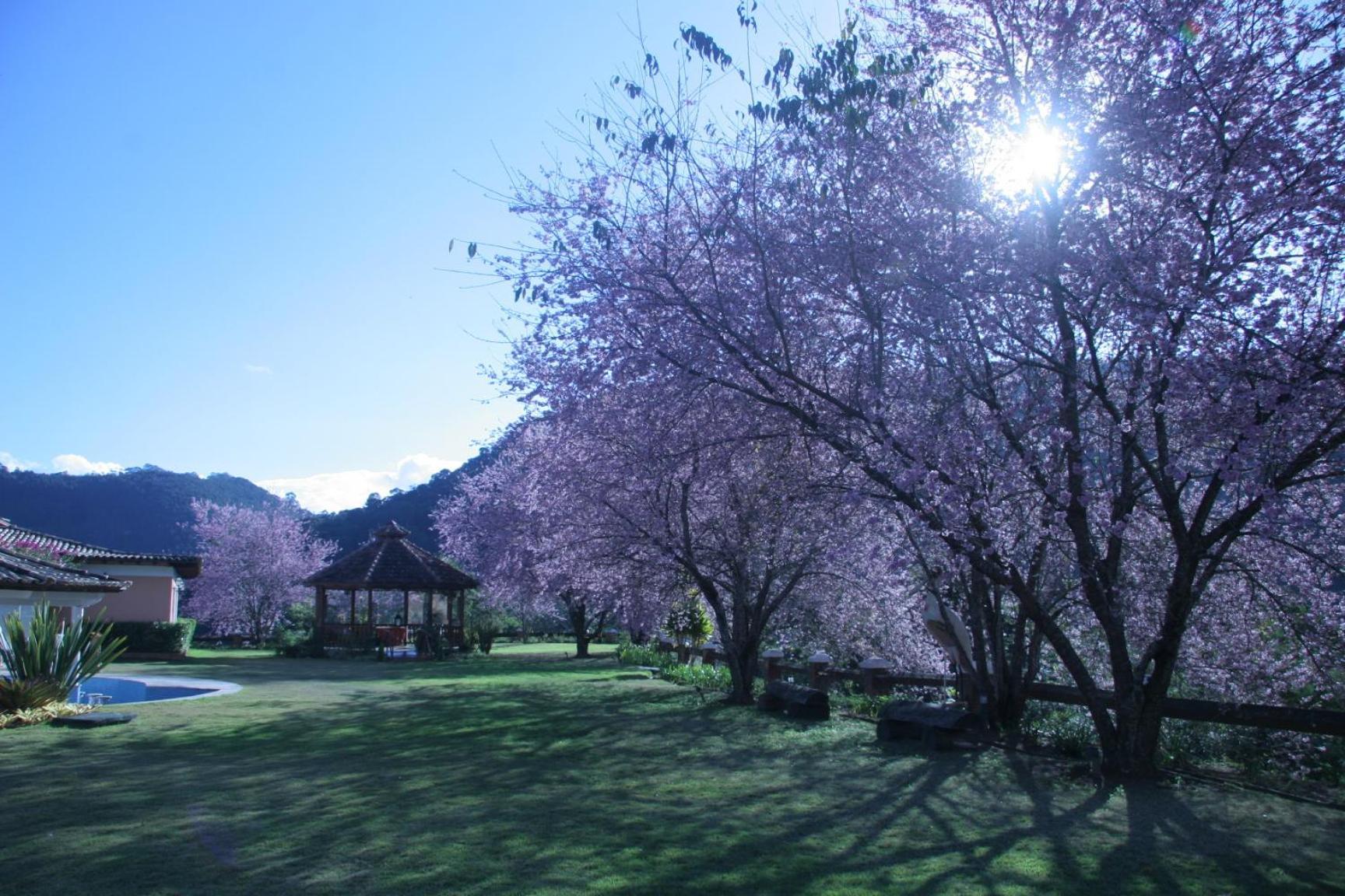 Quinta Da Paz Resort Itaipava 外观 照片